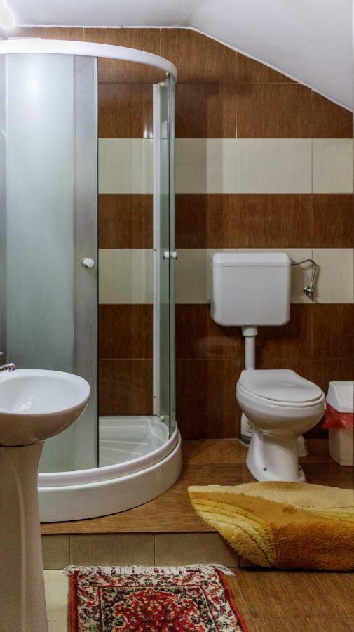 Pension Ladyna Hotel Sebis Ngoại thất bức ảnh